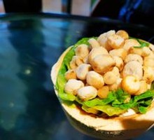 Small Water Chestnut