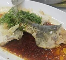 Steamed Sea Bass