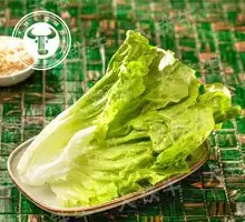TB Lettuce