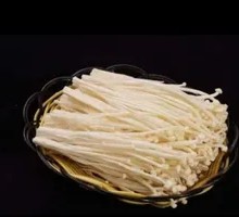 Enoki Mushroom