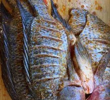 Grilled Eel