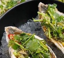 Fresh Oyster Special