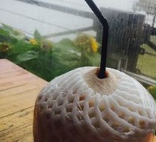Young Coconut