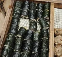 Seaweed Roll