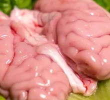 Pig Brain Flowers