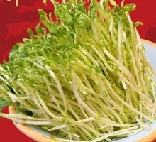 Chinese pea shoots