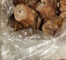 Duck Kidney