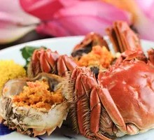 Freshwater Crab