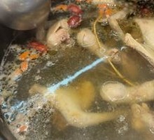 Medicinal Fresh Pigeon