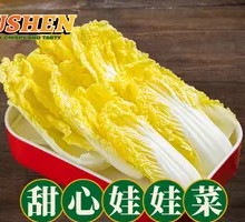 Sweet Heart Baby Bok Choy