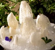 Bamboo Fungus Imperial
