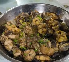 Steamed Snakehead Catfish