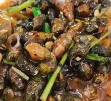 Perilla Snail