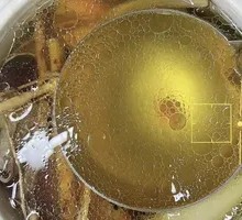 Five-fingered Mulberry Bone Soup