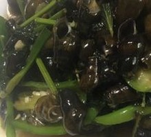 Mountain Stream Snail