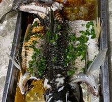 Mountain Pond Carp