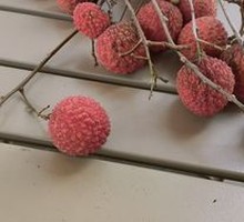 Lychee