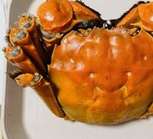Yangcheng Lake Female Crab 2oz