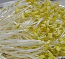 Bamboo Shoots Dish