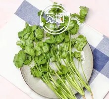 Cilantro