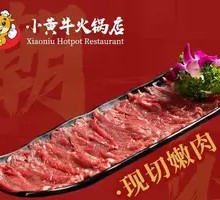 Fresh Tender Meat