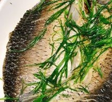 Slimmed Carp