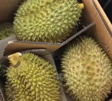 Golden Pillow Durian