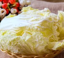 Napa cabbage