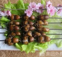 Roasted Cicada