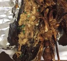 Squid Tentacles