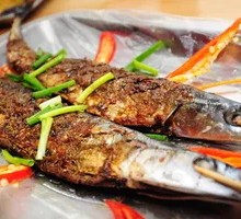 Sardine
