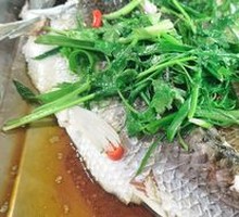 Slim Fish