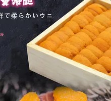 Premium Sea Urchin