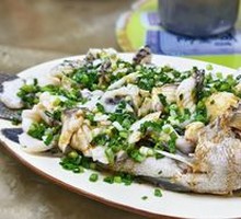 Scallion Oil Drizzled Tilapia