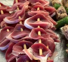 Duck Kidney