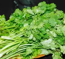 Grilled Cilantro
