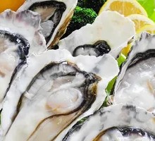 Fresh Oysters