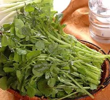 Watercress
