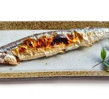 Sardine