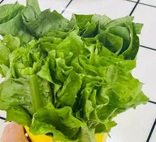 Oilseed lettuce