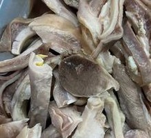 Pig's stomach