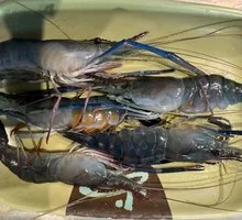 Luo's Shrimp