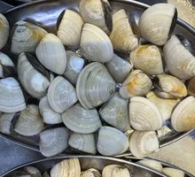 Clam