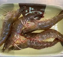 Large Shrimp