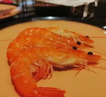 Live Tiger Shrimp