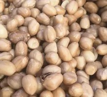 Braised Peanuts