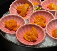 Sea Urchin