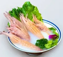 Rocket Squid