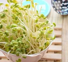 Bean sprouts