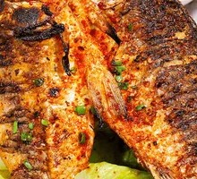 Crucian Carp